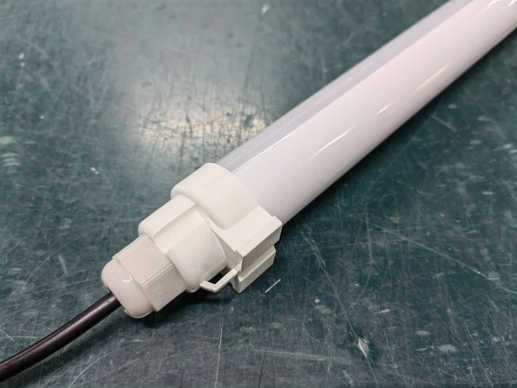 best bulb for chicken coop