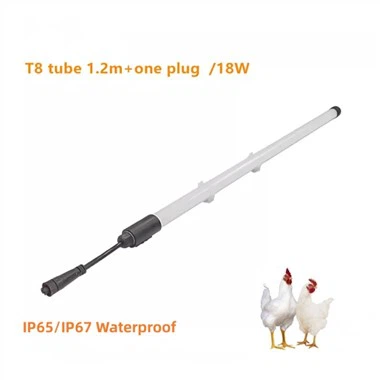 LED svetlá pre kurčatá
