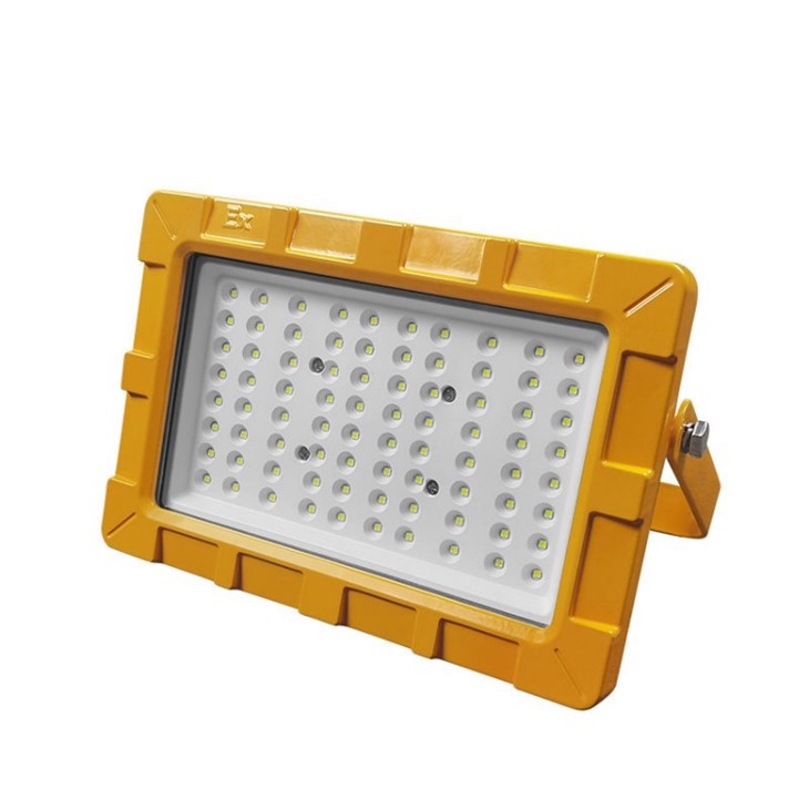 Explosion Proof Light