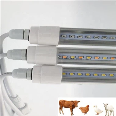 Chicken Light For Coop