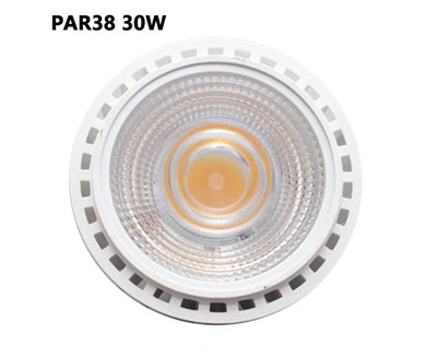 Plné   spektrum   LED   rast   svetlo