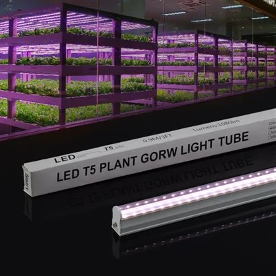 T5 Grow Lights