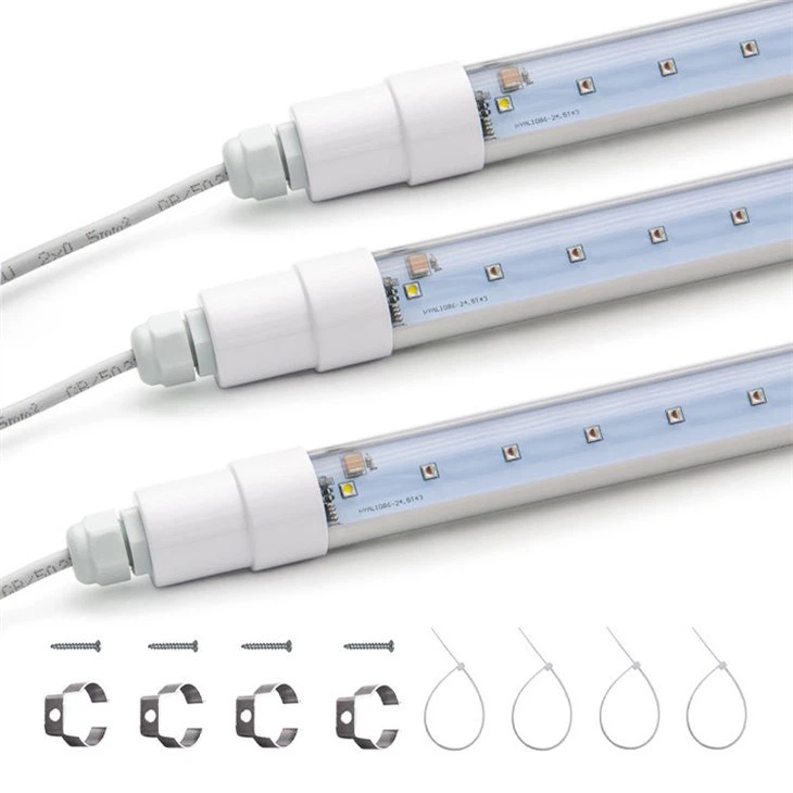 Paradajka Grow Light