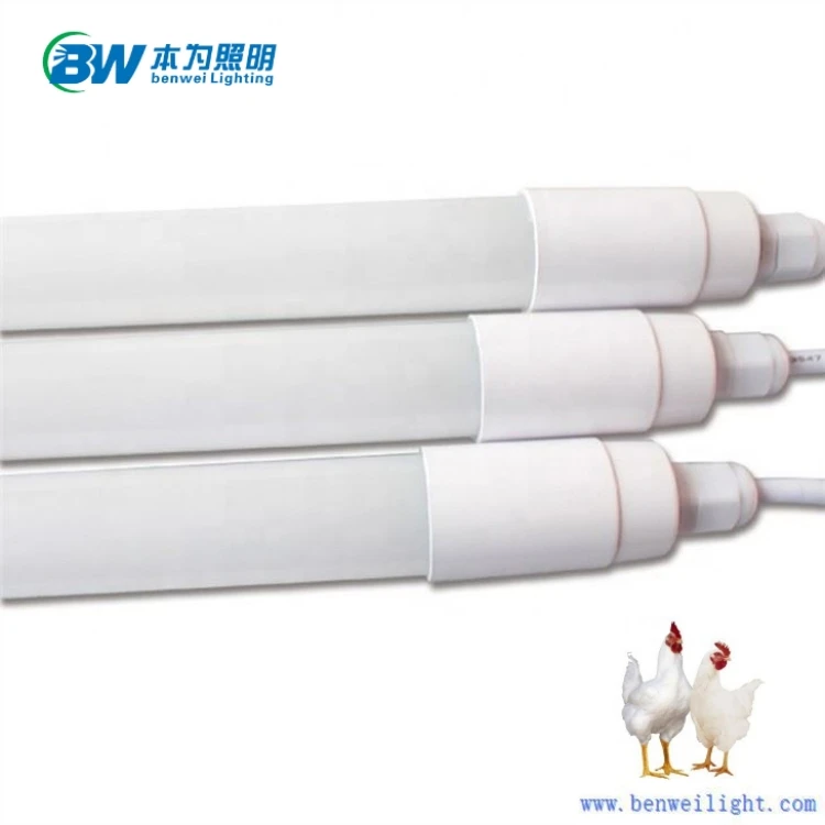0-12V Dimmable 3800K 12W Chicken Light