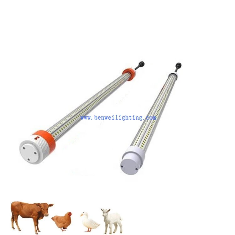 lights for chicken house