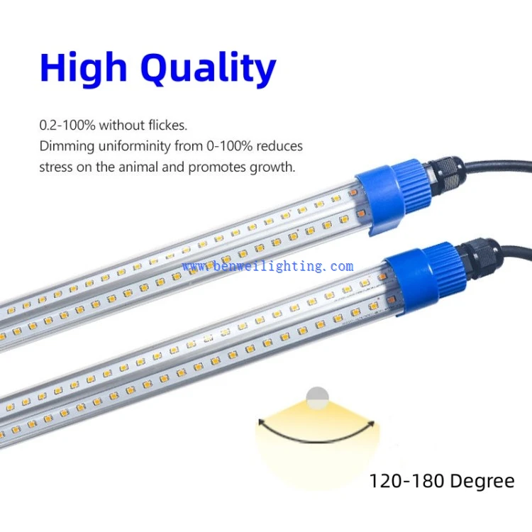 lights for chicken egg production