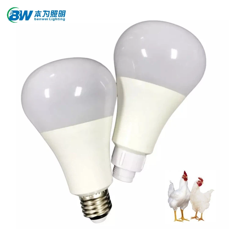 2700K LED Bulb Light