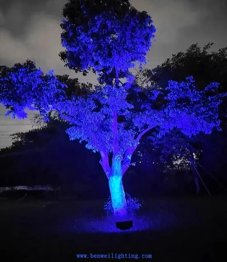 Floodlight 12-24V DC