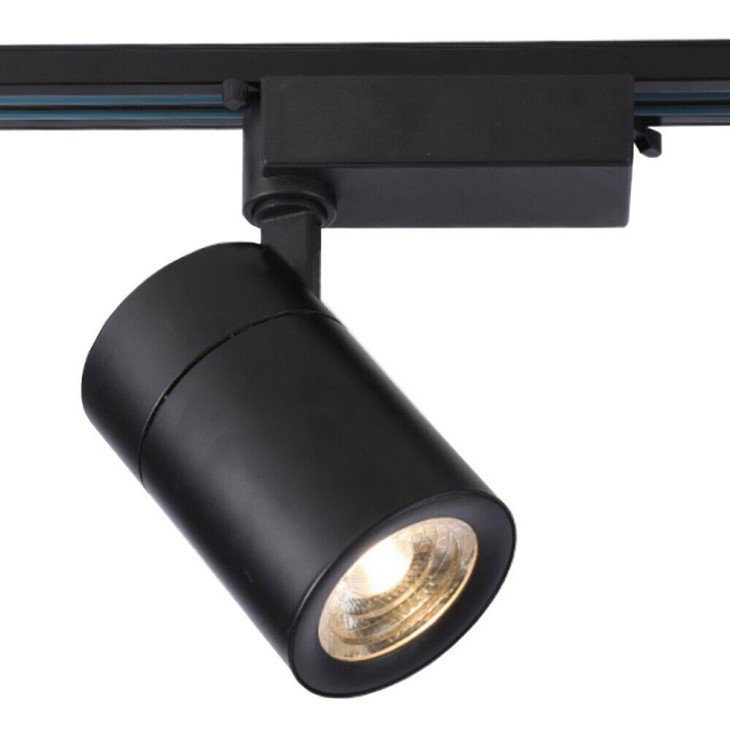 Black Track Light