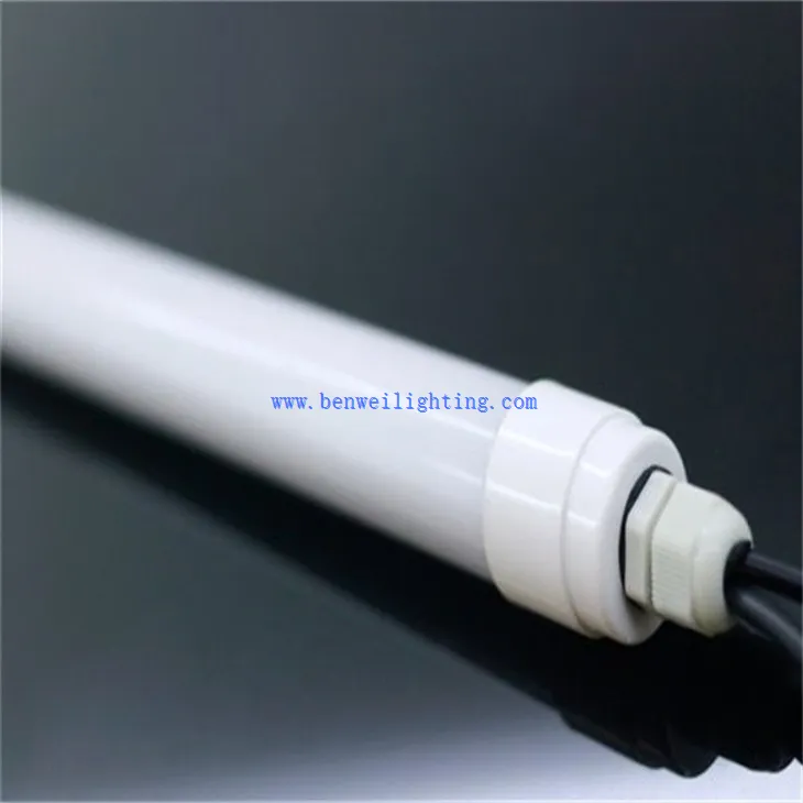 Cattle Pen Poultry Light (2)