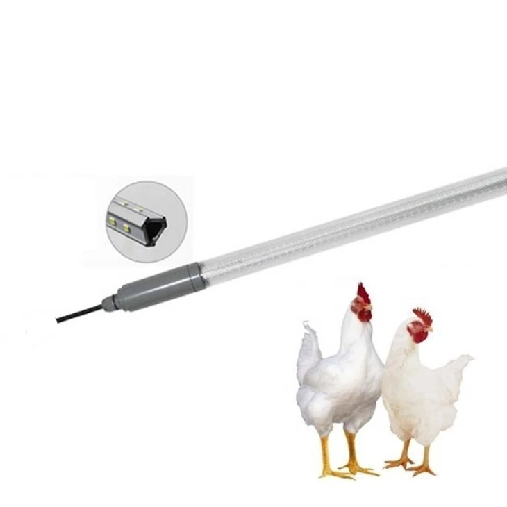 Chicken Light With 0-10V 5100K 30W 20W