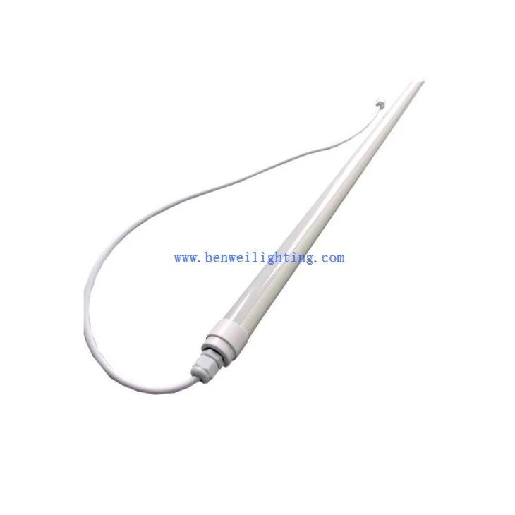 Chicken Light With 0-12V 5200K 10W 20W