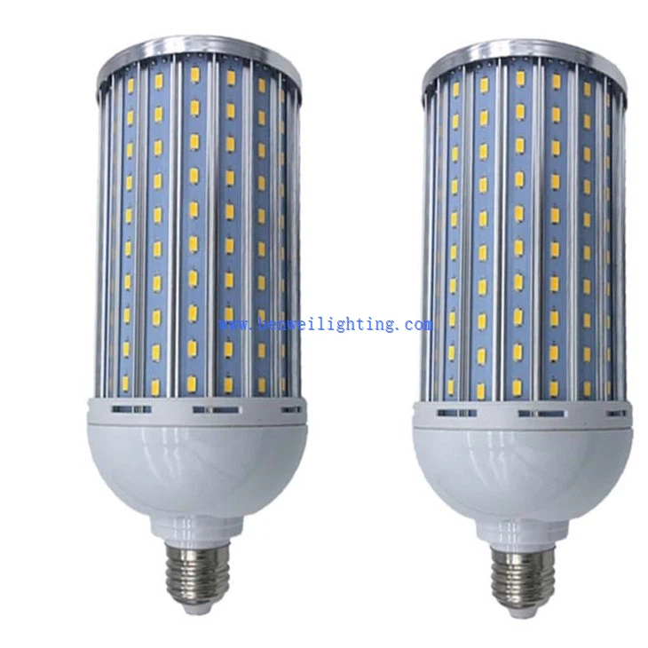 Corn Bulb CE (1)