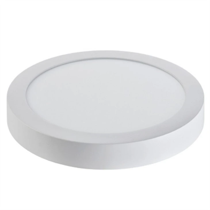 Disk Ceiling Lamp