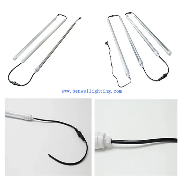 Egg Production Light (4)
