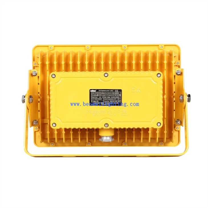 Explosion-Proof Light Aluminum (3)