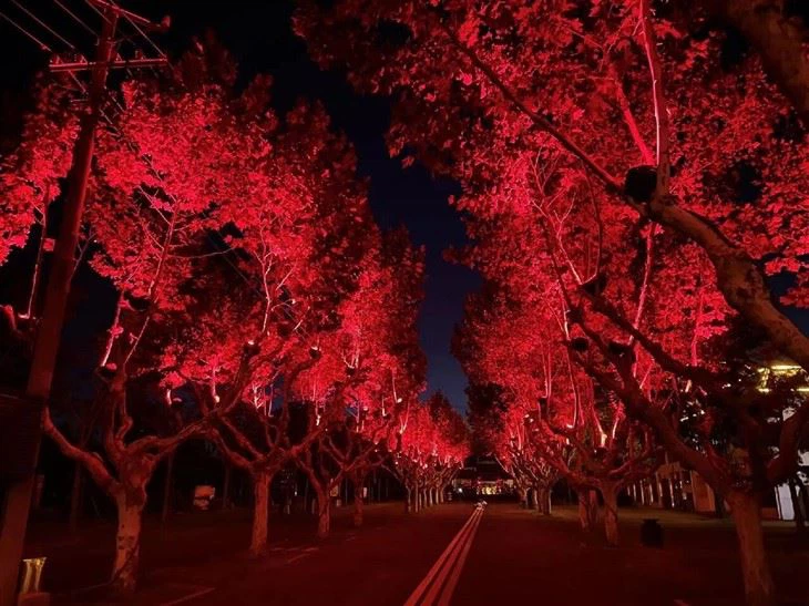 Floodlight Flicker Free