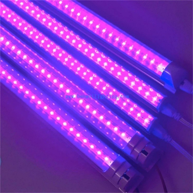 395nm UV black light1 395nm UV black light1
