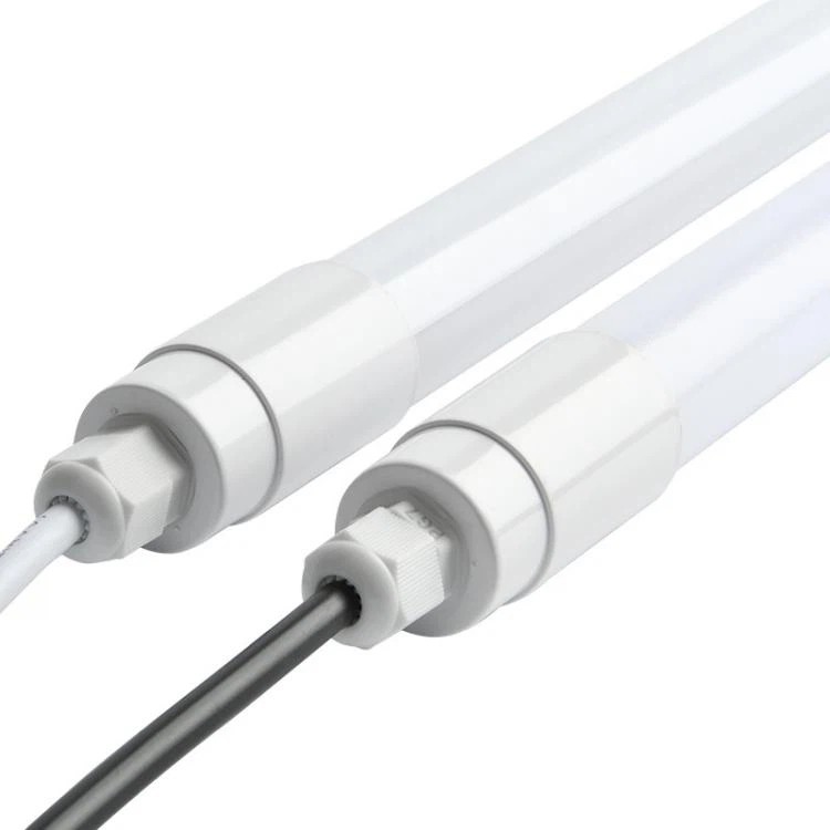 Lighting for poultry Lighting for poultry