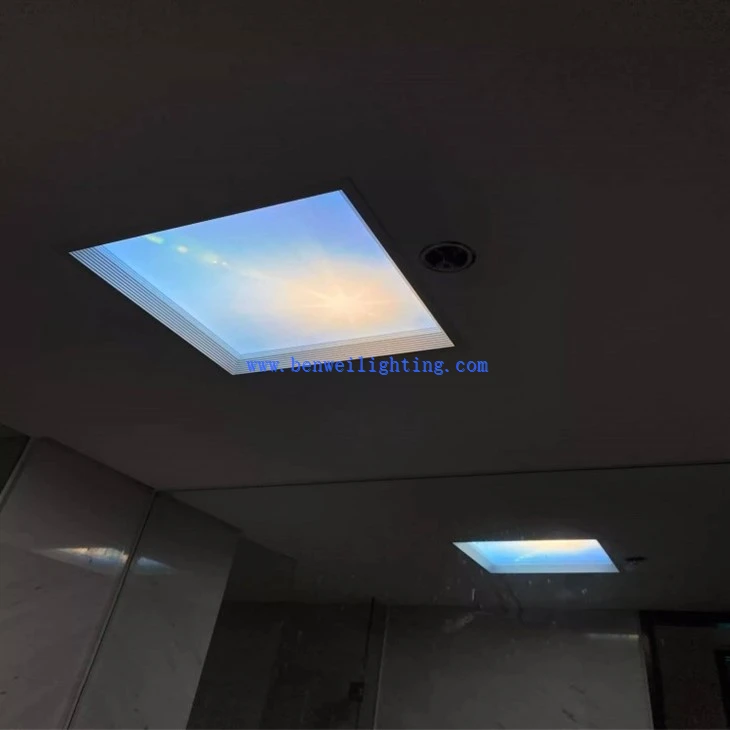LED Skylight Panel Light