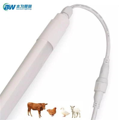 LED svetlo IP65 pre hydinovú farmu