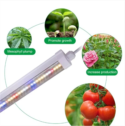 T8 Rastúca lampa LED Indoor Grow Light