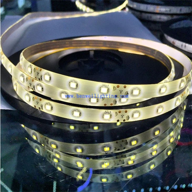 Strip Light LED (3)