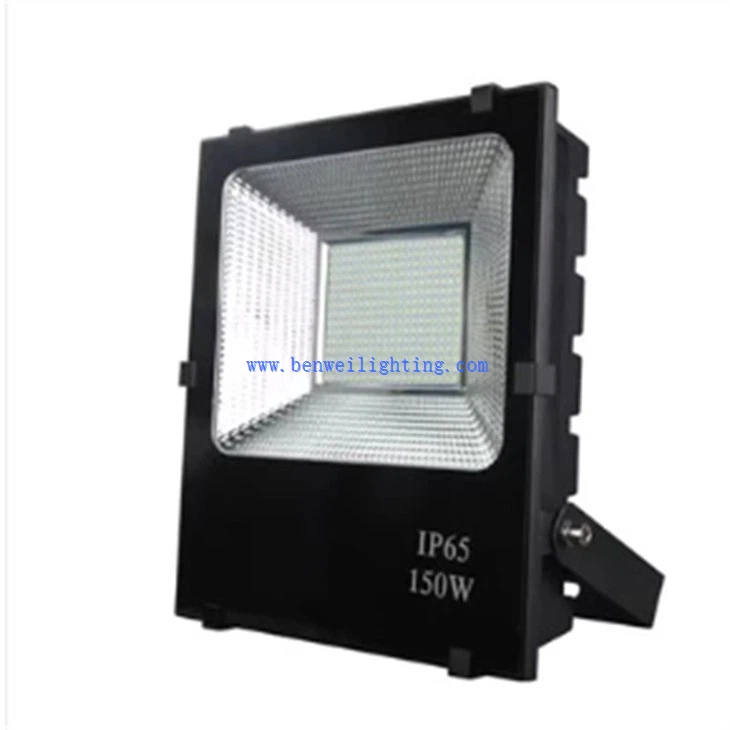 Yard Floodlight (1)